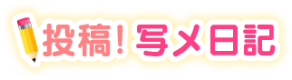 写メ日記
